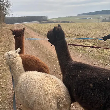 Prázdninový dům Forsthaeuschen Am Ponyhof *