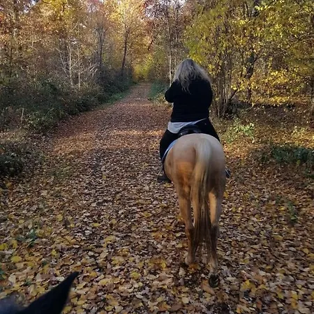 Forsthaeuschen Am Ponyhof Holiday home Wonsheim