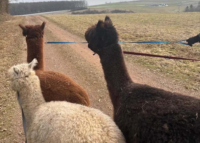 בית נופש Forsthaeuschen Am Ponyhof *